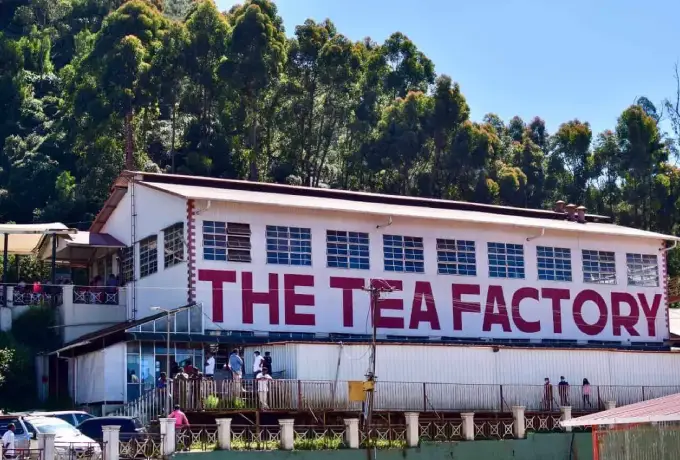 Tea-manufrature