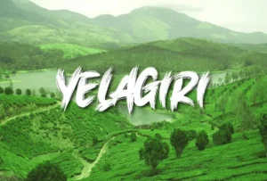 yelagiri