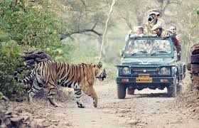 リシケシのジープサファリツアー(Raja ji 国立公園)